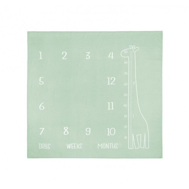 Muslin Photo Mat Giraffe Mint 120x120cm