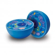 Learning Resources Animal Cell Model Cross Section