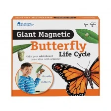 Learning Resources Butterfly Life Cycle Magnetic Kit