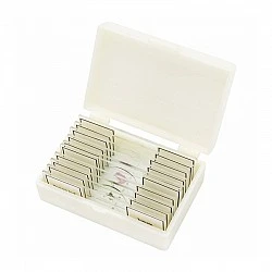 Microscope slides, 10 pieces