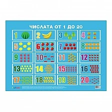 Cubos Ученическо табло ''Цифрите от 1 до 20'', ламинирано, 50 x 70 cm