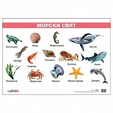 Cubos Ученическо табло ''Морски свят'', ламинирано, 50 x 70 cm, модел 2