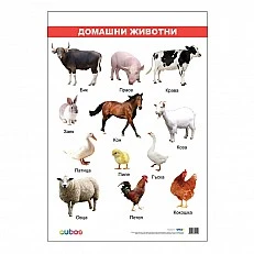Cubos Ученическо табло ''Домашни животни'', ламинирано, 50 x 70 cm, модел 2