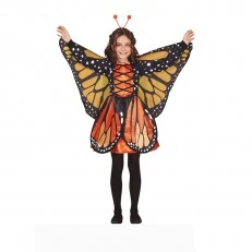 Butterfly costume, for children 10-12 years