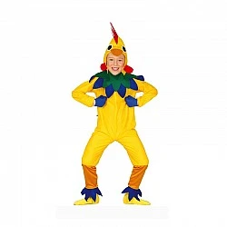 Chicken costume, for children 5-6 years