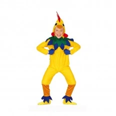 Chicken costume, for children 10-12 years