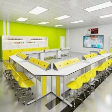 RFG chemistry and biology classroom Flat above 7th grade for 24 students white/yellow