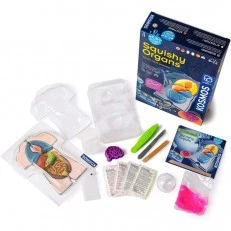 Слузеста анатомия