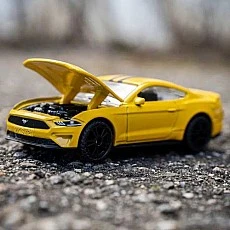 Cars and trucks