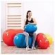 Топка за гимнастика фъстък Physio Roll 70 см
