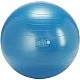 Gymnic Plus 65BRQ син