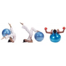 Топка за гимнастика Gymnic Plus 65см BRQ син