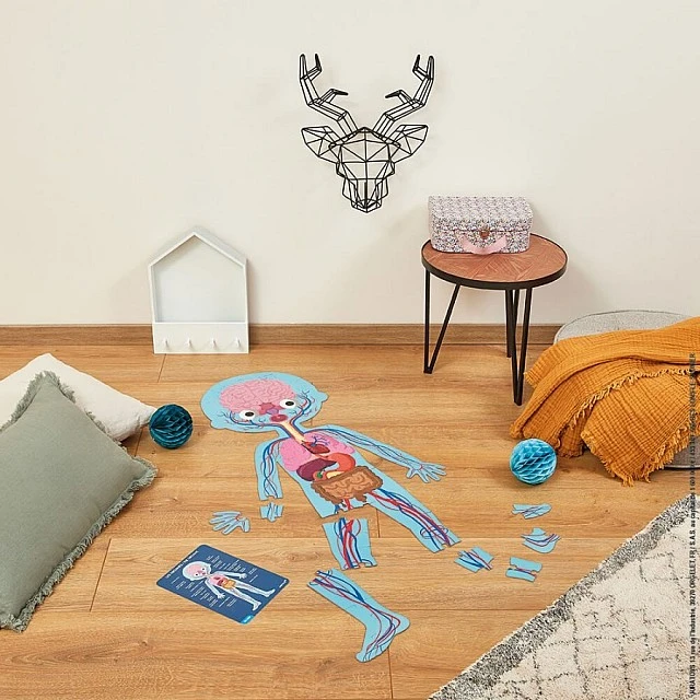 Educational puzzle - The human body