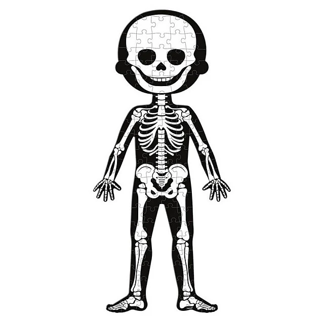 Educational puzzle - The human body