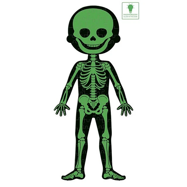 Educational puzzle - The human body