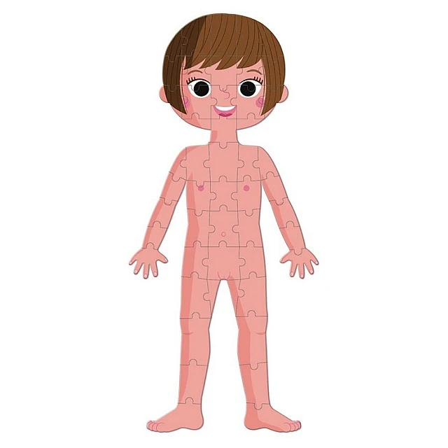 Educational puzzle - The human body