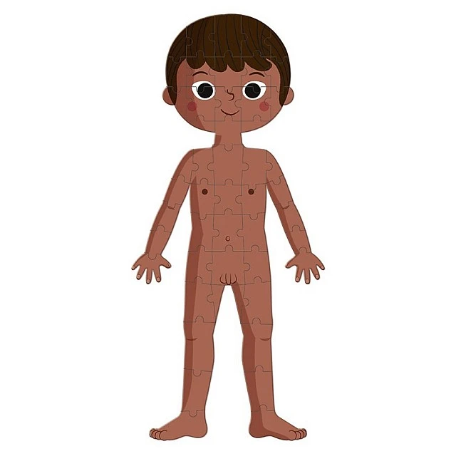 Educational puzzle - The human body