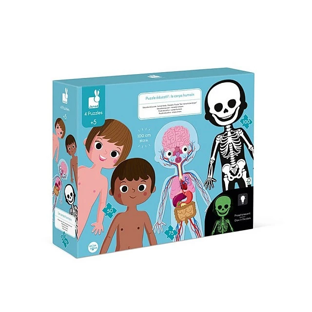 Educational puzzle - The human body