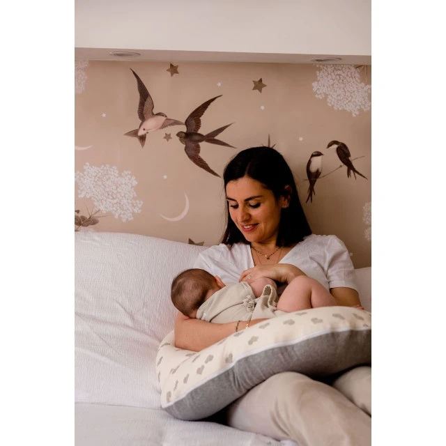 Pillow for Pregnancy and Nursing Hearts Candide
