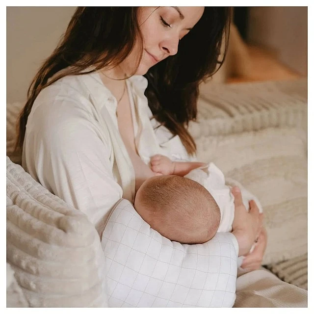Candide Nursing Pillow