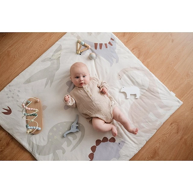 Dinosaur Travel and Play Mat Tineo