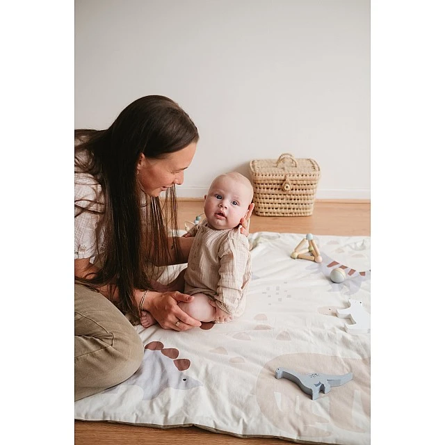 Dinosaur Travel and Play Mat Tineo