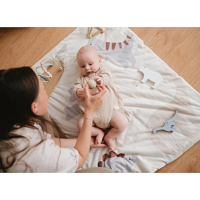 Dinosaur Travel and Play Mat Tineo