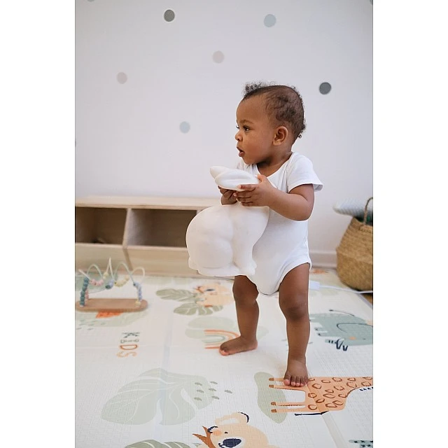 Car Play Mat And Savannah Tineo