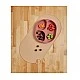 Силиконова Чиния С Вакум 4+ Месеца Розова Vital Baby
