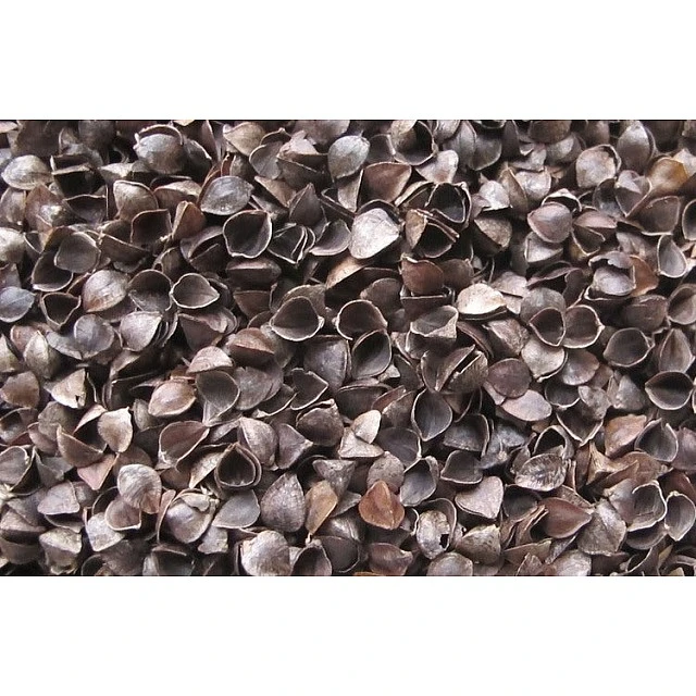 Aloe Vera Mattress 120X60 Made of Buckwheat, Foam and Coconut 11 Cm Sensillo