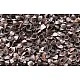 Aloe Vera Mattress 120X60 Made of Buckwheat, Foam and Coconut 11 Cm Sensillo