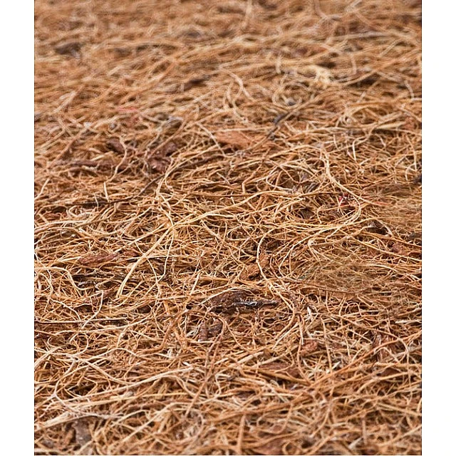 Aloe Vera Mattress 120X60 Made of Buckwheat, Foam and Coconut 11 Cm Sensillo