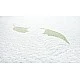 Aloe Vera Mattress 120X60X11cm Sensillo