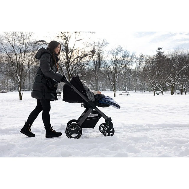 Winter Bag Aspen Silver