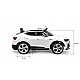 Battery Car Audi Etron Sportback Red Caretero Toyz