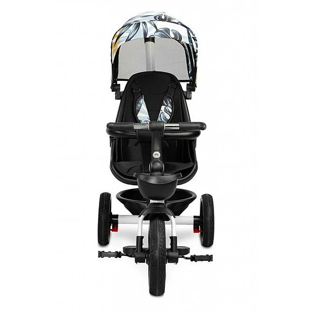 Триколка Dash Mоnstera Caretero Toyz