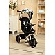 Триколка Dash Mоnstera Caretero Toyz