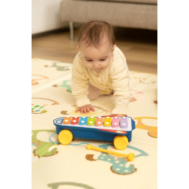 Educational Toy - Rainbow Cymbals Caretero Toyz