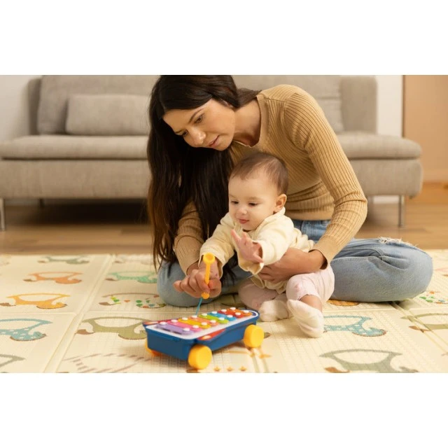 Educational Toy - Rainbow Cymbals Caretero Toyz