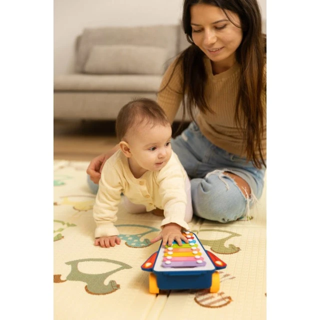 Educational Toy - Rainbow Cymbals Caretero Toyz