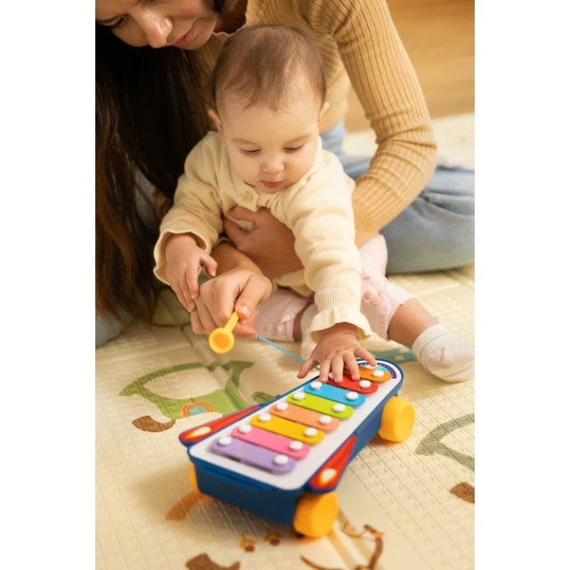 Educational Toy - Rainbow Cymbals Caretero Toyz