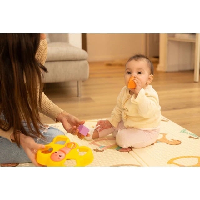 Educational Toy - Butterfly Caretero Toyz
