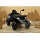 Battery Car Quad Gigant Blue Caretero Toyz