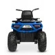 Battery Car Terra Blue Caretero Toyz