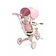Tricycle and balancing wheel 2 in 1 Faro Pink Caretero Toyz