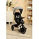 Dash Gray Caretero Toyz tricycle
