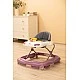 Проходилка Cario Purple  Caretero Toyz