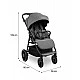 Jimbo Graphite Stroller