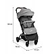 Sfera Graphite stroller