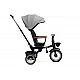 Tricycle Saber Gray Caretero Toyz